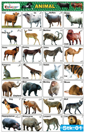 Animals Stickers
