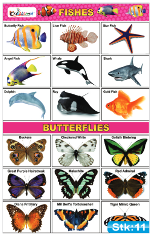 Fishes and Butterflies Stickers