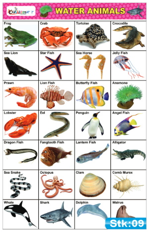 Water Animals Stickers