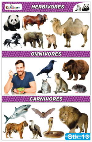 Dietary Classification of Animals Stickers
