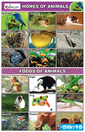 Home and Food of Animals Stickers