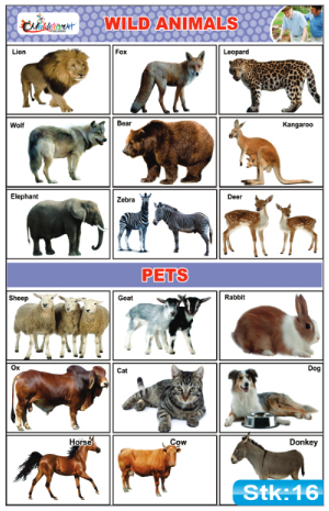 Wild Animals and Pets Stickers