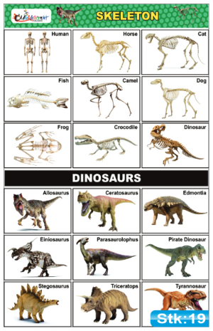 Skeletons and Dinosaurs Stickers