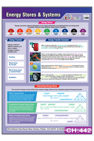 Energy Stores and System Chart