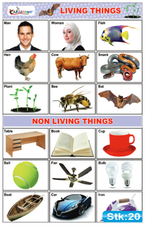 Living and non Living Things Stickers