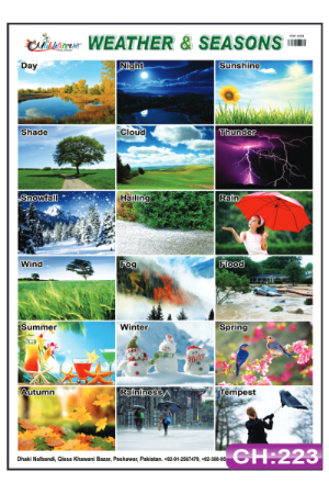 Weather and Seasons Chart