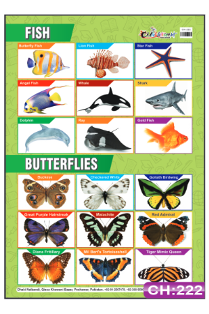 Fish and Butterfly Chart