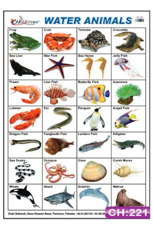 Water Animals Chart