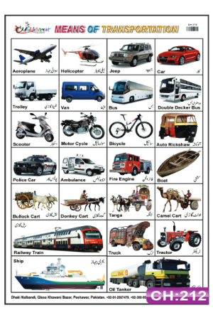 Means of Transport Charts