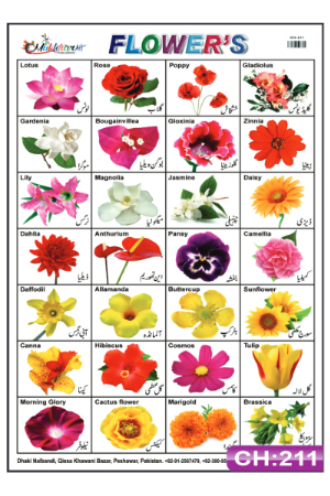 Flowers Chart