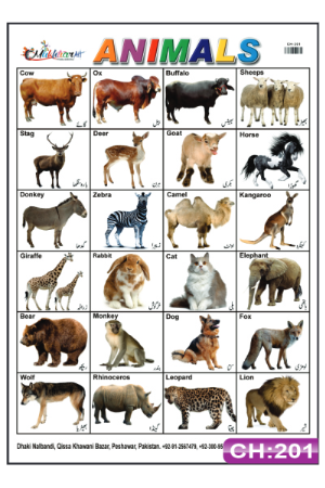 Animals Chart