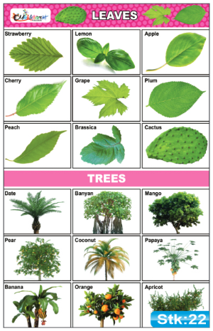 Leaves and Trees Stickers