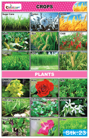 Crops and Plants Stickers