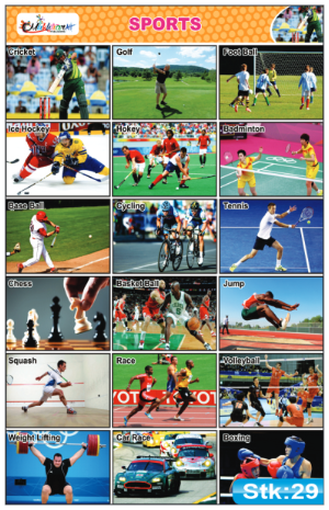 Sports Stickers