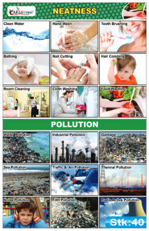 Neatness and Pollution Stickers