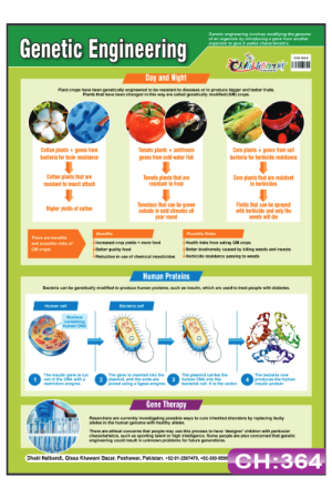Genetic Engineering Chart