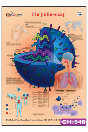 Flu Chart