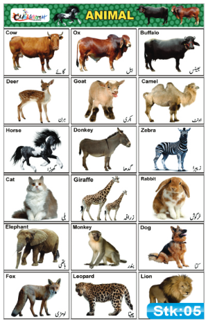 Animals Stickers