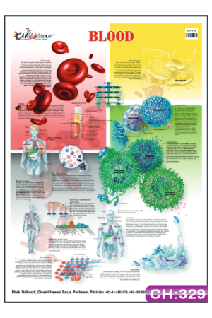 Blood Chart