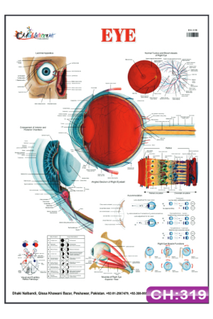 Eye chart