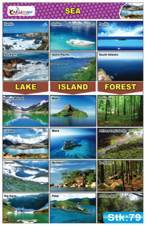 Seas, Lakes, Forest and Island Stickers