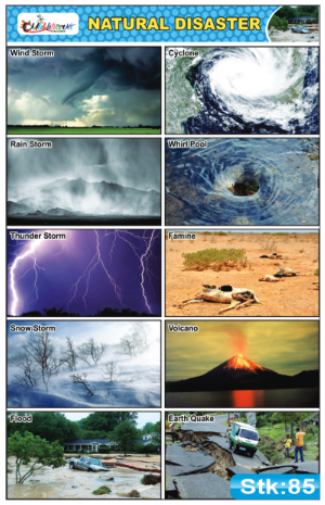 Natural Disasters Stickers