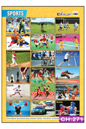 Sports Chart