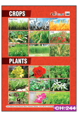 Crops and Plants Chart