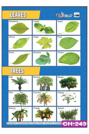 Leaves and Trees Chart