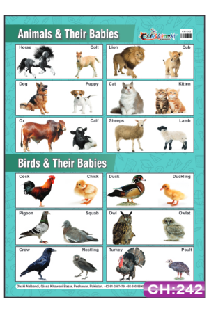 Animals, Birds and their Babies Chart
