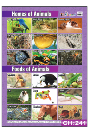 Animal Homes And Food Chart