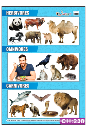 Animals Dietary Group Chart