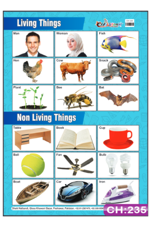 Living and Nonliving Things Chart